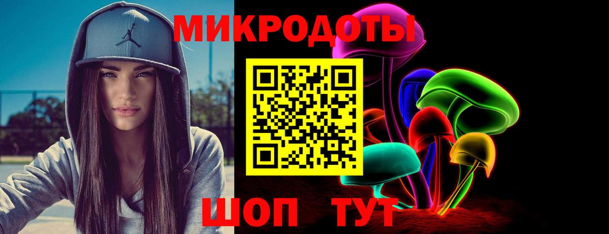 Богданович  Галлюциногенные грибы Psilocybine cubensis  Вход с VPN 